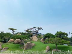 -罗红摄影艺术馆