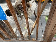 -北京鹿世界主题园