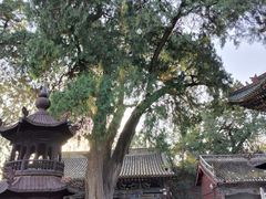 -玉泉观