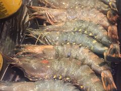 -熊出没日本烧肉放题