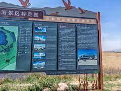 -哈素海