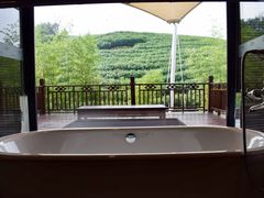 酒店内景-帐篷客·溪龙茶谷度假酒店