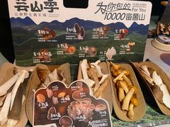 当季野生菌拼盘-芸山季·云南野生菌火锅(人民广场来福士店)