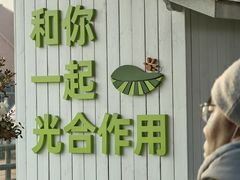 -苏州太湖西山岛开心农场