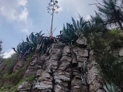 -漳州滨海火山岛自然生态风景区