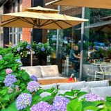 它唯一的缺点：北京三元桥限定……