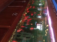 蓝枪鱼西餐厅(锦华店)-蓝枪鱼西餐厅(锦华店)