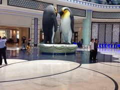 -广东省拱北口岸中国旅行社(华宾营业部)