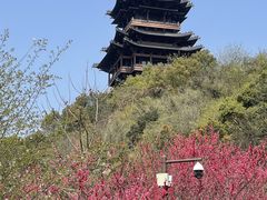 -杭州半山国家森林公园