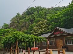 -大岭沟猕猴桃谷风景区