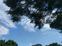 -东莞植物园