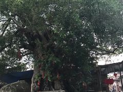 景点-赵家堡
