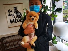 -Double Rui宠物酒店