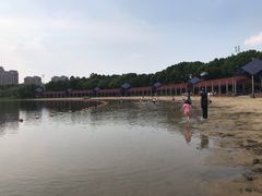 -暨阳湖生态园
