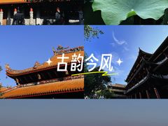 -仙岳公园