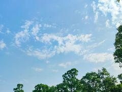 -滆湖低碳生态公园