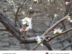 -北京明城墙遗址公园