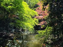 -中国茶叶博物馆(双峰馆区)