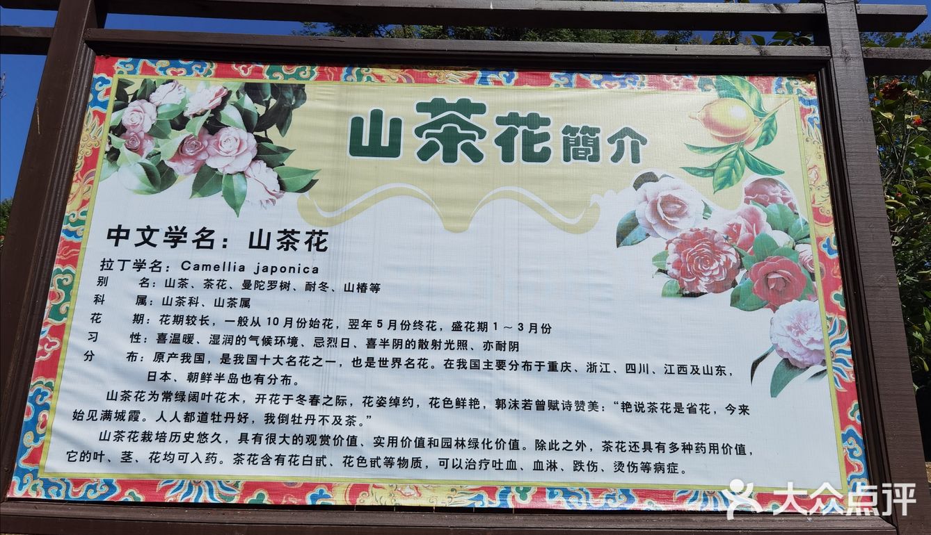 御花園位置就在正門入口右手邊