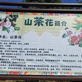御花園位置就在正門入口右手邊
