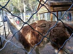 -长白岛森林公园