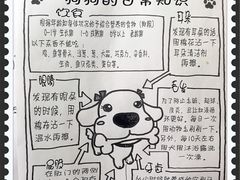 -瑞派天使宠物医院·神经外科·骨科·核磁(洛川中路店)