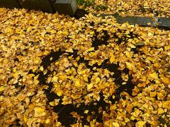 -洛阳白云山景区