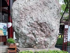 -乐山乌木文化博览苑