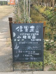 点击看大图 -前小桔亲子创意农场·草莓采摘·露营烧烤