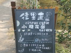 -前小桔亲子创意农场·草莓采摘·露营烧烤