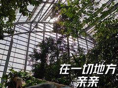 -南山植物园