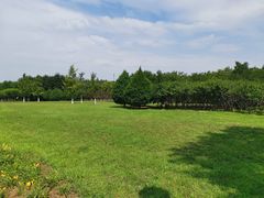 -永定河休闲森林公园