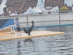 -秦皇岛乐岛海洋王国