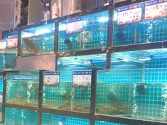 -沈胖子音乐烤吧·炒菜·龙虾(环城东路店)