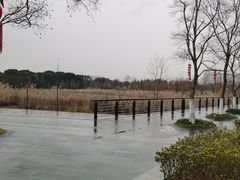 -昆山城市生态森林公园