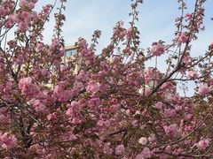 -山东大学(软件园校区)