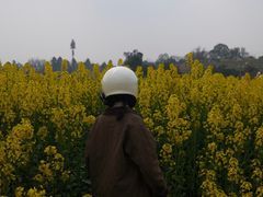 -三圣花乡旅游区