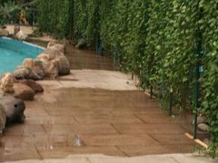 -龙脉温泉室内游泳馆