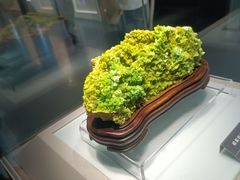-安徽省地质博物馆