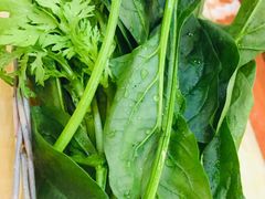 -清真·马家火锅美食城(镇江北路店)