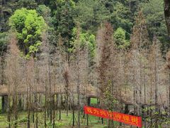 -神光山国家森林公园