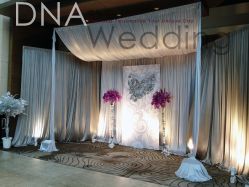 -DNA Wedding 婚礼记(上海店)