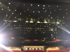 -顺德演艺中心大剧院