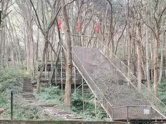 -富春桃源风景区