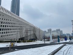-南京眼步行桥