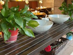 -金枝玉叶上海人家食府(三里河店)