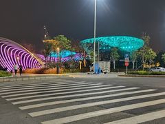 -宝安西湾红树林湿地公园