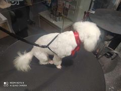 -萌兽医馆·犬猫专科·眼科中心·宠物医院(朝阳门分院)
