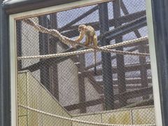 -石排湾郊野公园