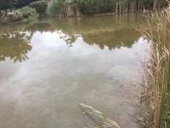 -福田红树林生态公园